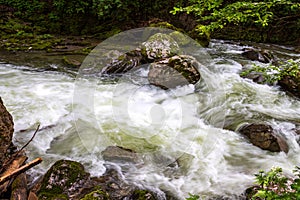 River Breitach in gorge
