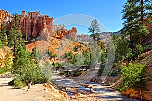 River and bridge through the hoodoos of Bryce Canyon National Park, Utah, USA