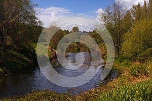 a river in Burk Gilman trail in Redmond, Wahingron