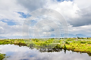 River, bush and cloud