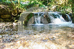 River Bussento and wwf Oasis photo
