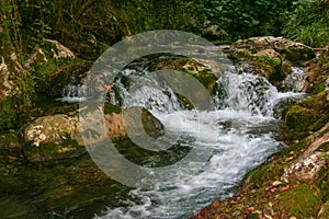 River Bussento and wwf Oasis photo