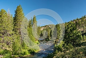 River through California Woodlands near Tahoe