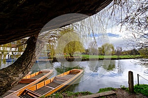 River Cam in Cambridge, England with moored punts at the shore