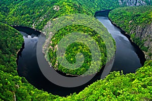 River canyon with dark water and summer green forest. Horseshoe bend, Vltava river, Czech republic. Beautiful landscape with river