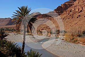 River in Canyon Gorge Morocco