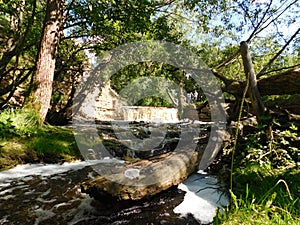 River canyon Sablino