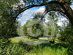 River canyon Sablino