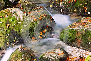 River cascade in a forest in Transylvania mountains