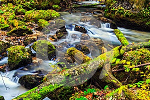 River cascade in a forest in Transylvania mountains