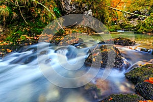 River cascade in a forest in Transylvania mountains