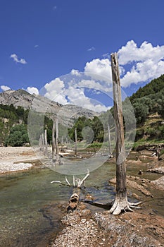River at Castril Spain