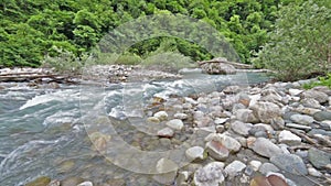 River in Caucasus mountains forest, near lake