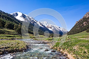 River in Caucasus Mountains. Karachay-Cherkessia republic, Russia