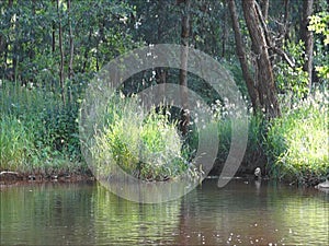 River in Central Russia.