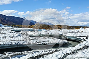 River channel melted into the Matanuska Glacier in Alaska. Yellow leaves of autumn coat the background