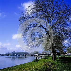 River charente rochefort