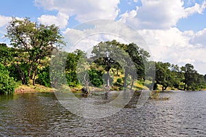 River Chobe,Botswana