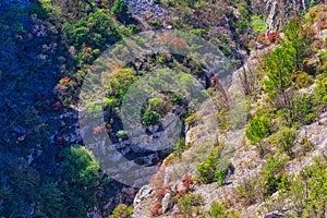 River Cikola canyon in Croatia