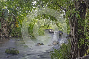 Illustration Photograph of River Clear