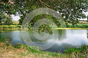 River, cloudy weather, summer, beautiful wallpaper, Ukraine Kherson