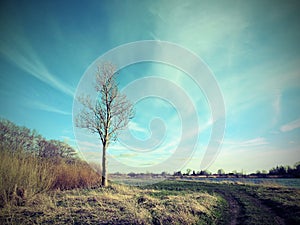 River coast, Lithuania