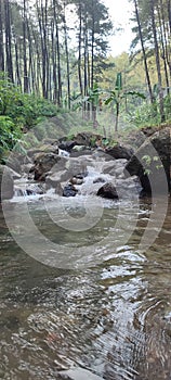 river that coincides with rocks and lush trees