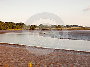 River country scene landscape with wader birds tide out and mud