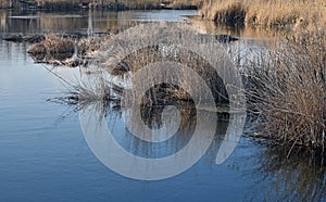 River at country side city