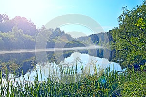 River is covered with fog at dawn. Forest is reflected in the river in summer