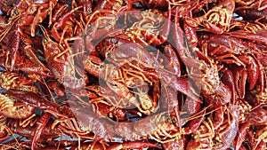 River crab, Boiled red shrimp