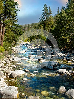 River Creek in forest canyon of Washington