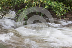 river creek stream. Close up view of flow water surface