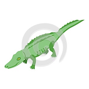 River crocodile icon, isometric style