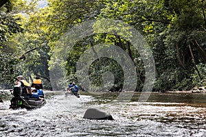 River cruise along scenic Tahan River with lush rainforest foliage at Taman Negara National Park, Pahang