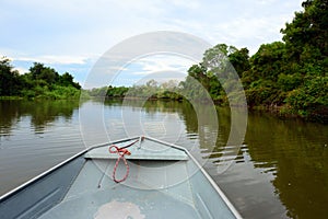 River cruise in Pantanal, Brazil