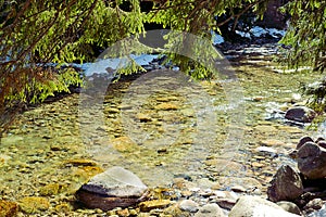 River with crystal clear water in high mountains, Slovakia