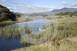 River Currane; Waterville