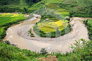 River curve irrigation and Rice fields terraced in vietnam