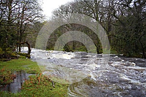 River Dart, Dartmoor national Park, Devon