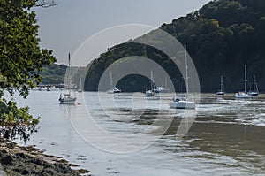 River dart from Greenways
