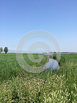 River within de grass
