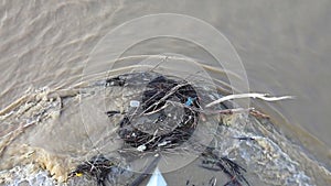 River Debris