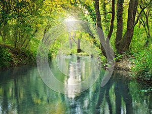 River deep in forest
