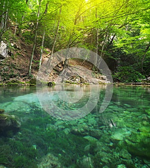 River deep in forest.