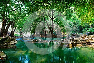 River in deep forest