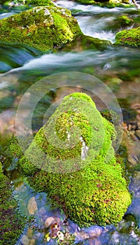 River deep in mountain forest.