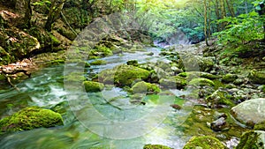 River deep in mountain forest.