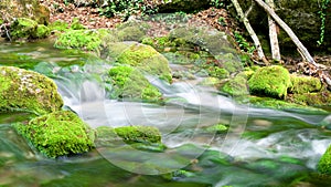 River deep in mountain forest.