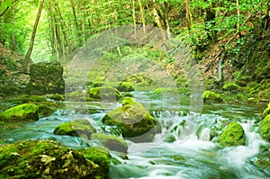 River deep in mountain forest.